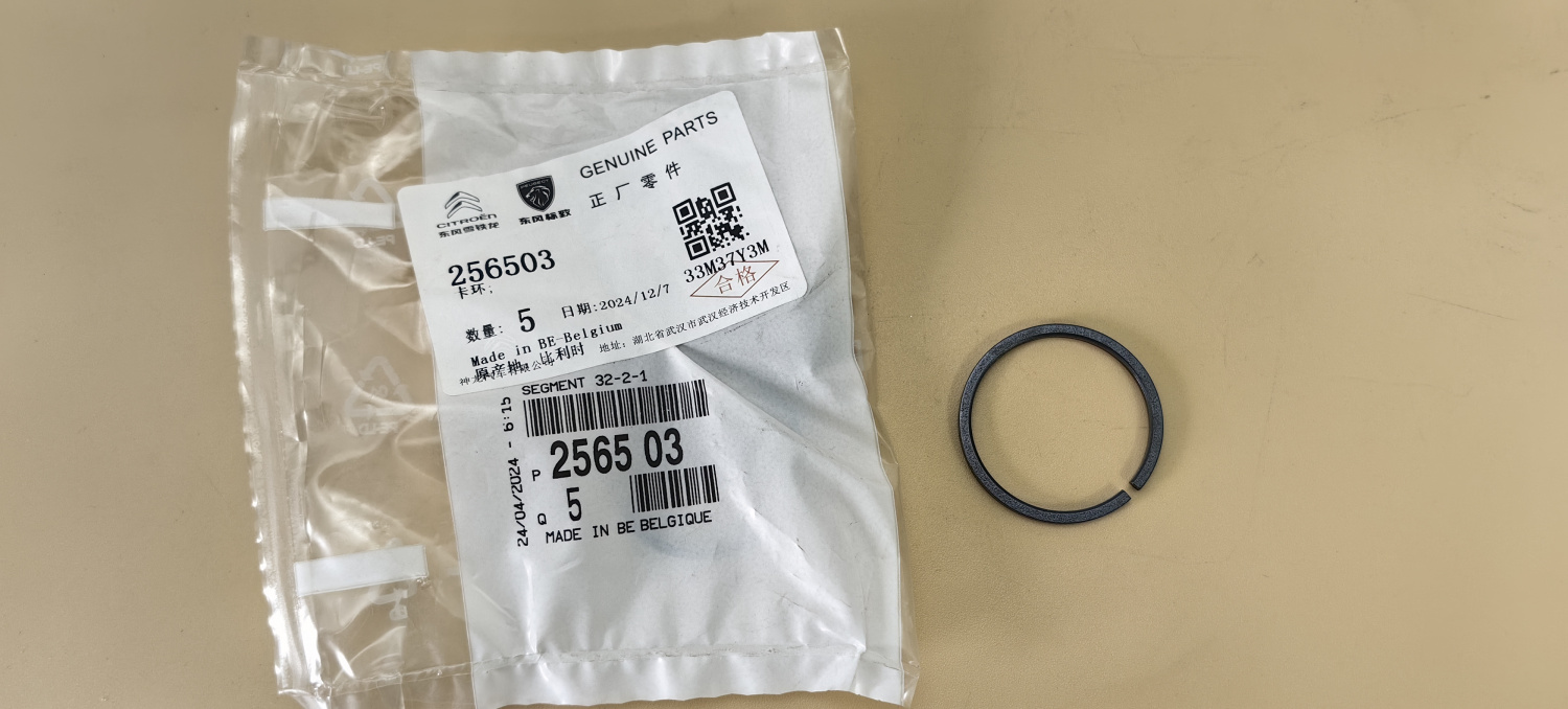 УПЛОТНИТЕЛЬНОЕ КОЛЬЦО ЗАДНЕЙ КРЫШКИ 2565.03 DP0